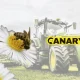 Wildlife destruction