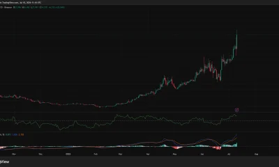 DeXe daily chart showing a breakout to a new all-time high above $36 before pulling back, with bullish MACD and strong positive CMF supporting the uptrend.