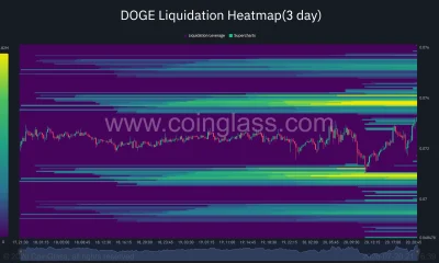 Dogecoin liquidation heatmap shows major liquidity clusters near $0.074 and $0.071.