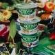 Danone to ‘press the acceleration button’ on innovation