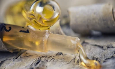 From Batch Risk to Brand Strength With the Right Oil Packaging