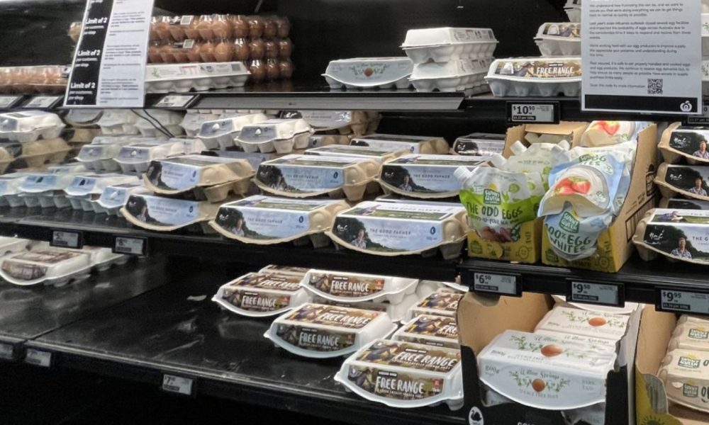 Panic buying warning as bird flu found in third state