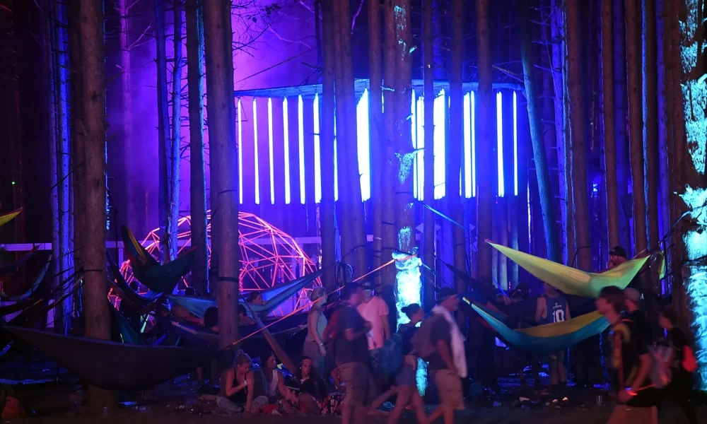 Electric Forest Music Festival/dead baby porta-potty/dead baby porta-potty Electric Forest Music Festival/ead baby porta-potty Electric Forest Music Festival Michigan