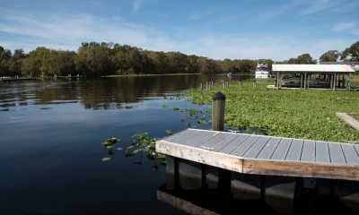 Florida mother dies 4-year-old son Florida mother drowns DeLand Florida St. John's River Nicole Grayson Ed Stone Park