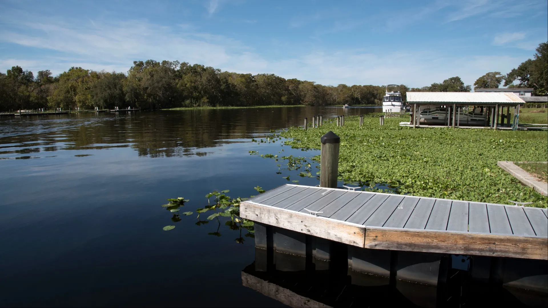Florida mother dies 4-year-old son Florida mother drowns DeLand Florida St. John's River Nicole Grayson Ed Stone Park
