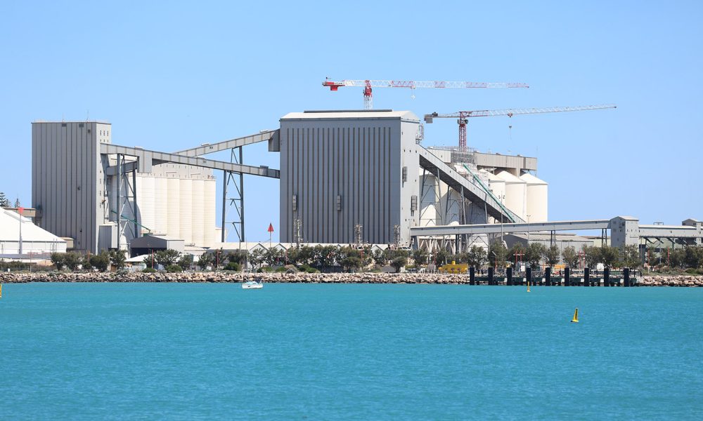 Plum Grove wins deal for bulk grain exports at Geraldton port