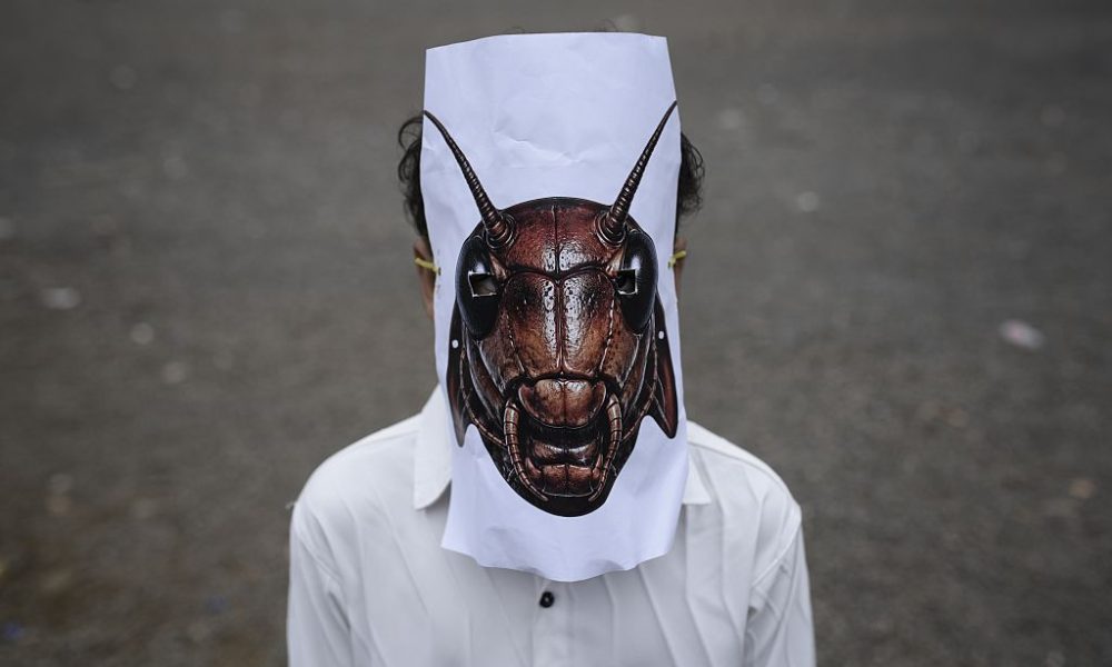 Where Does India’s Cockroach Movement Go From Here?