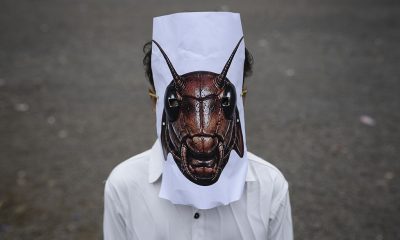 Where Does India’s Cockroach Movement Go From Here?
