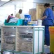 The DHSC alone cannot fix our health and care crisis