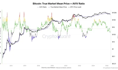 Bitcoin chart showing TMM at $76.7K and the AVIV ratio near 0.8, indicating active investors face an average 20% unrealized loss while the TMM acts as resistance.