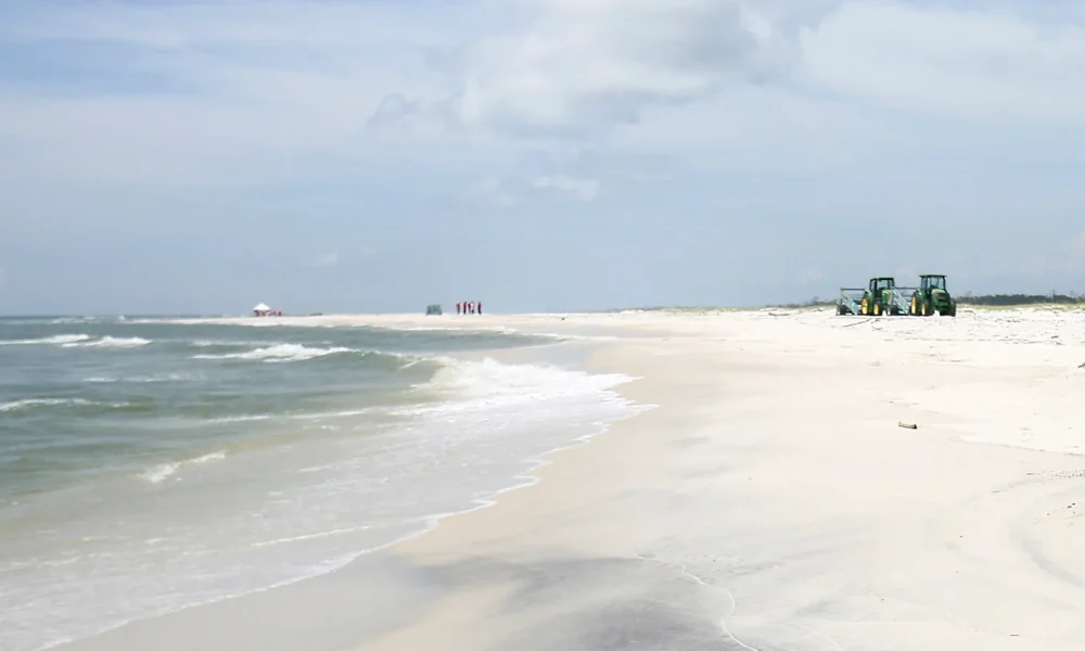 Internet Users React To Footage Allegedly Showing Crowd On Horn Island On Day Of Nolan Xavier Wells' Disappearance
