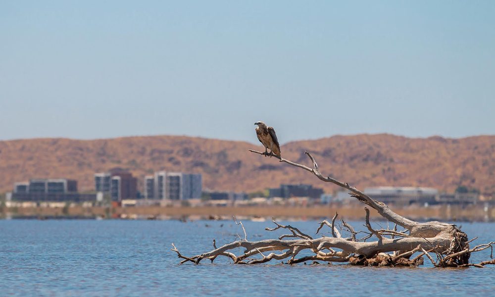 Rail, manufacturing, architecture in draft Karratha 2050 vision