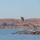 Rail, manufacturing, architecture in draft Karratha 2050 vision