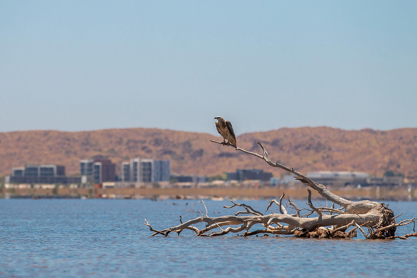 Rail, manufacturing, architecture in draft Karratha 2050 vision