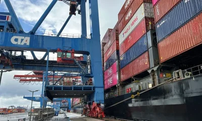 EU trade with US hits record despite tariff tensions, study shows