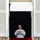Pope Leo praises US history of welcoming immigrants at 250th anniversary