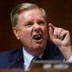 Lindsey Graham