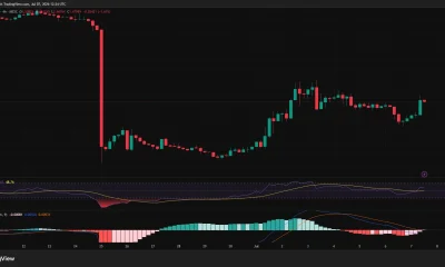 MemeCore 4-hour price chart showing recovery to around $1.48 after an 80% crash, with RSI above 50 and MACD turning bullish during consolidation.