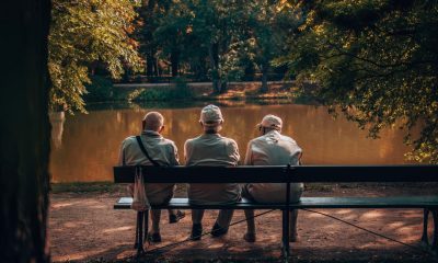 Opinion: The protein of ageing gracefully