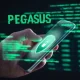 Pegasus