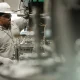 Manus produces monk fruit sweetener in US