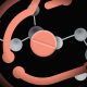 Crypto payments for peptides reportedly on pace for $100M per year