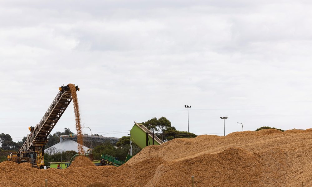 Renewable.bio plans $300m biorefinery in Esperance