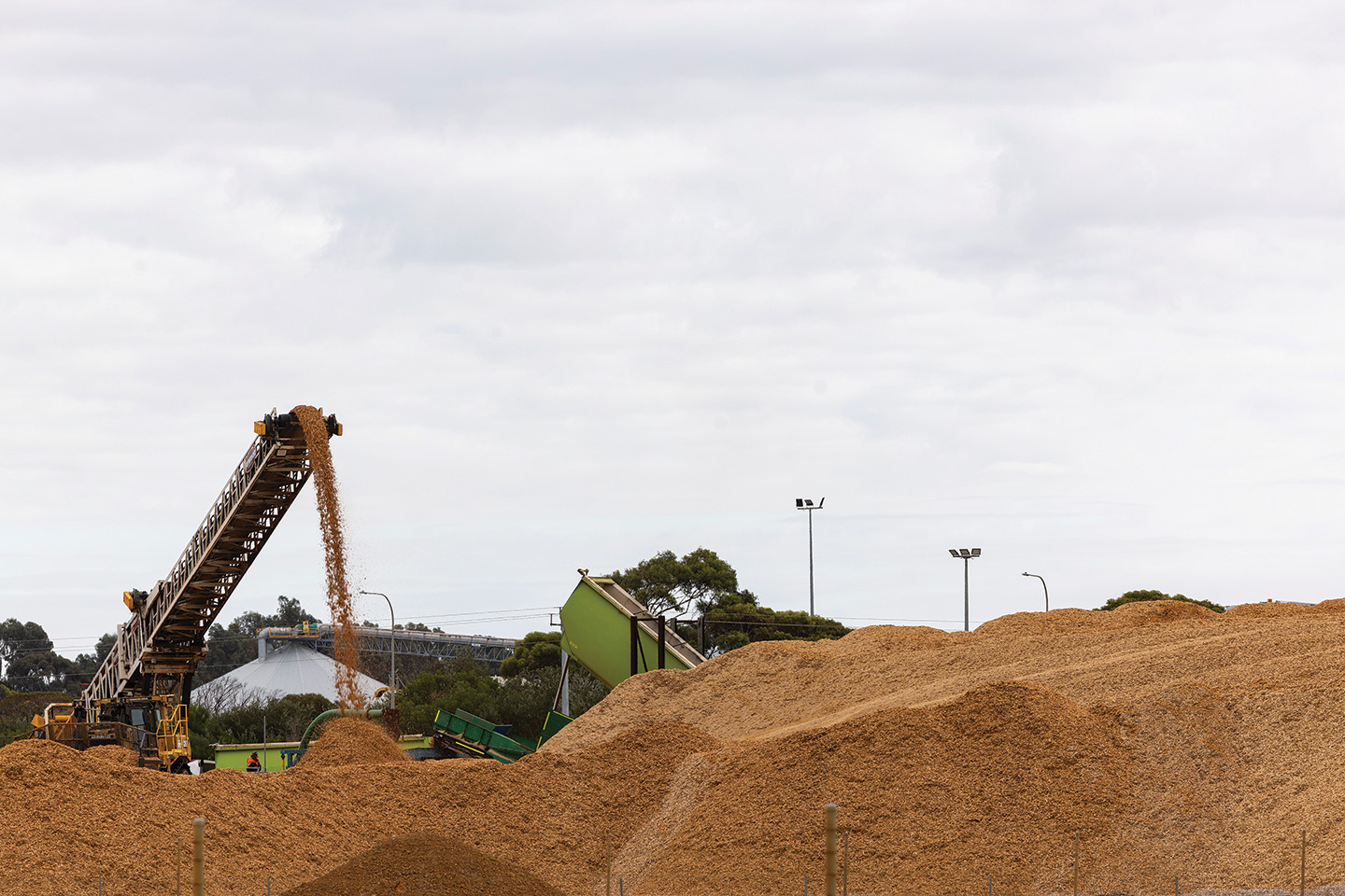 Renewable.bio plans $300m biorefinery in Esperance