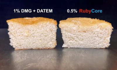 LBB Specialties boosting Ruby Bio’s fermented ingredient platform