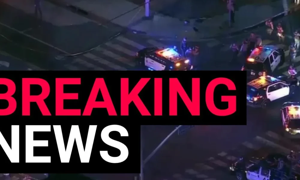 Four people shot after gunman opens fire on World Cup celebrations in Los Angeles | News US