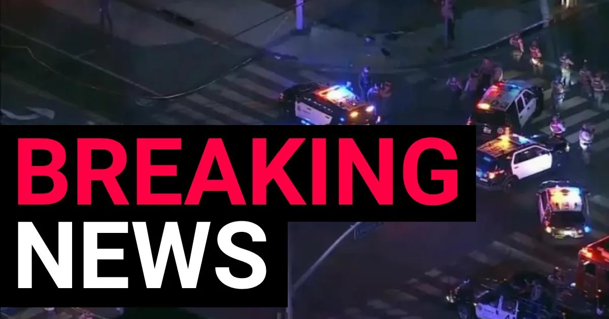 Four people shot after gunman opens fire on World Cup celebrations in Los Angeles | News US