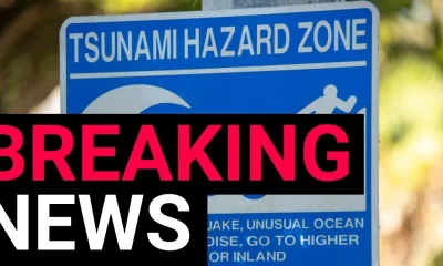 Powerful 7.4-magnitude earthquake strikes Mexico triggering tsunami alert | News World