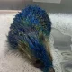 Four arrested after hedgehog spray painted in Leeds United colours | News UK