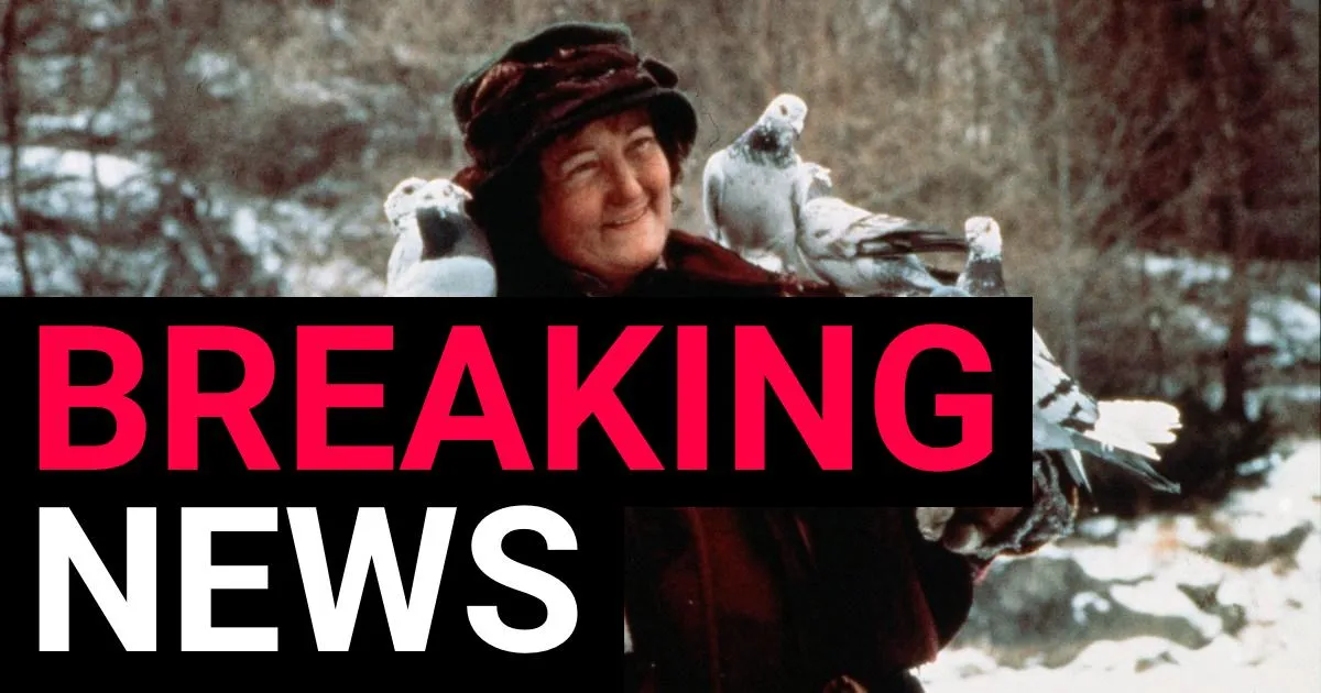 Oscar-winner Brenda Fricker who played Home Alone 2's Pigeon Lady dies aged 81