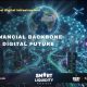 DeFi as Critical Digital Infrastructure: Building the Financial Backbone of the Digital Age