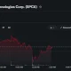SpaceX intraday stock chart showing shares trading around $135.83 after rebounding from a midday drop below $133 during the trading session.