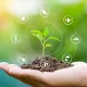 Nestle backs new regenerative ag initiative