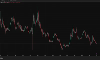 TAO daily price chart showing a broad downtrend, with the token falling toward the $200 support level after repeated lower highs.