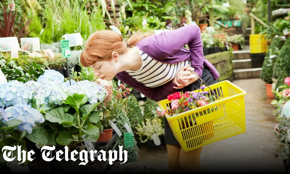 Britain’s best garden centres, according to Telegraph readers