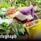Britain’s best garden centres, according to Telegraph readers