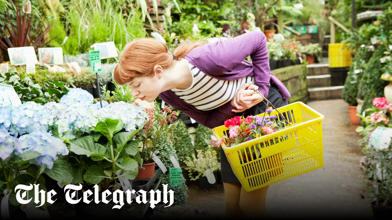 Britain’s best garden centres, according to Telegraph readers