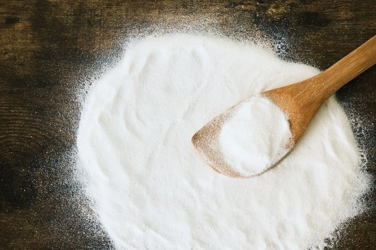 Icon Foods launches tagatose sweetener