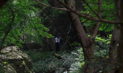 Horror Movie Goes Beyond Disturbing Within First Few Minutes, Streaming Free