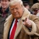 Hot tip, guv? Trump, Truth Social and insider trading on subscription