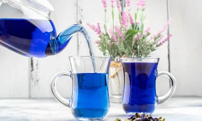Oterra expands blue colors into liquid formats