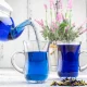 Oterra expands blue colors into liquid formats