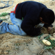 Gaza - boy crouches over vegetable field