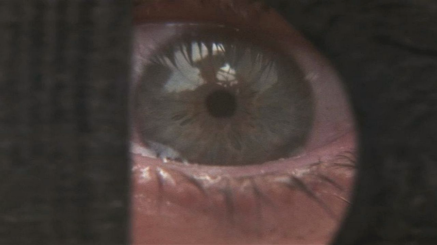 The Best Harrison Ford Thriller Still Terrifies Decades Later, Stream Without Netflix