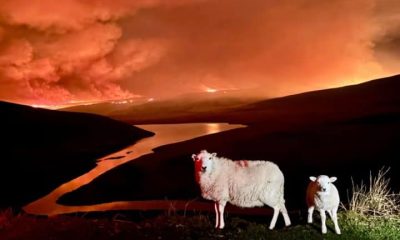 Wildfire in Wales Heat adaptation