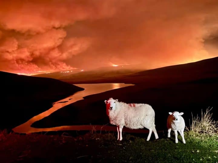 Wildfire in Wales Heat adaptation
